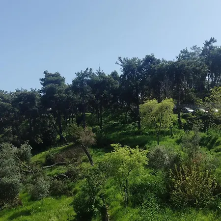 Anatoli Apartment Kavala