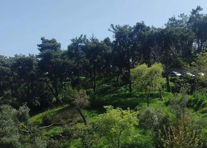 Anatoli Διαμέρισμα Καβάλα