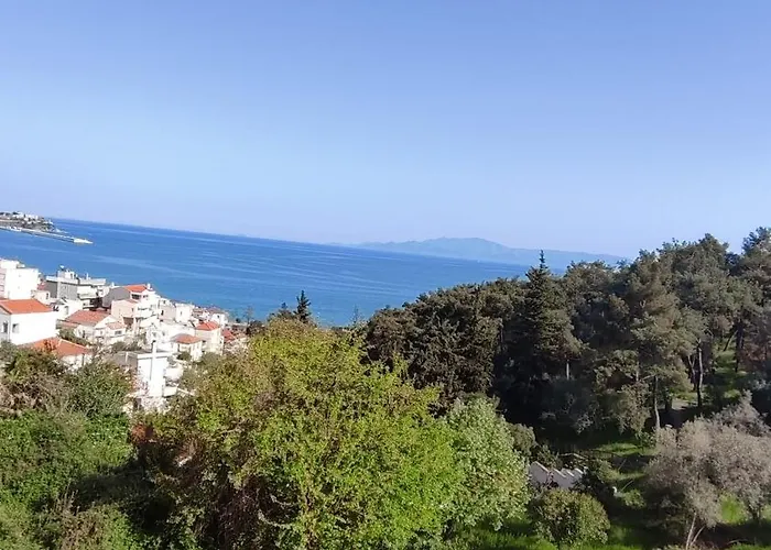 Anatoli Διαμέρισμα