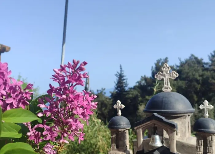 Anatoli Διαμέρισμα